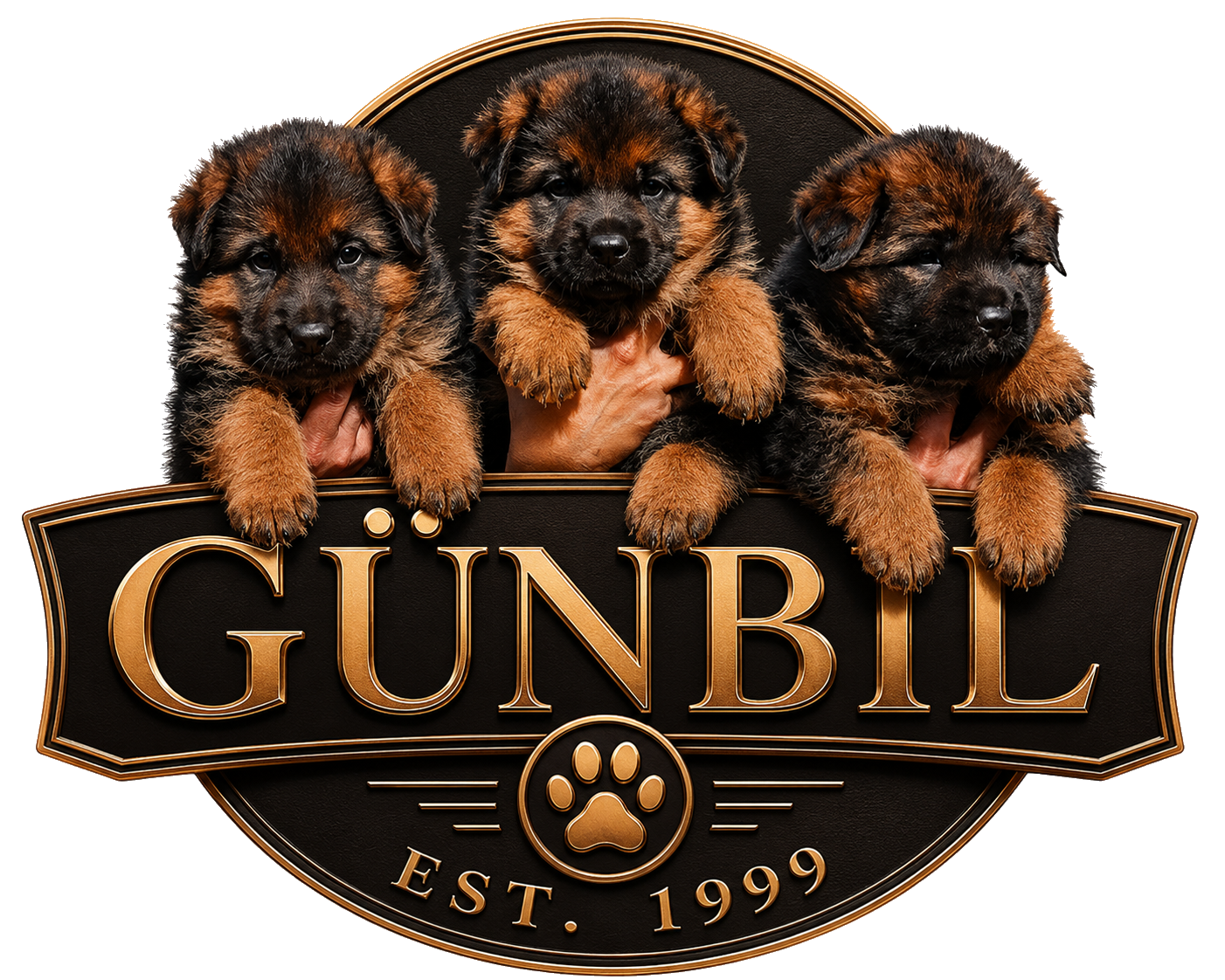 Gunbil German Shepherds — Established 1999