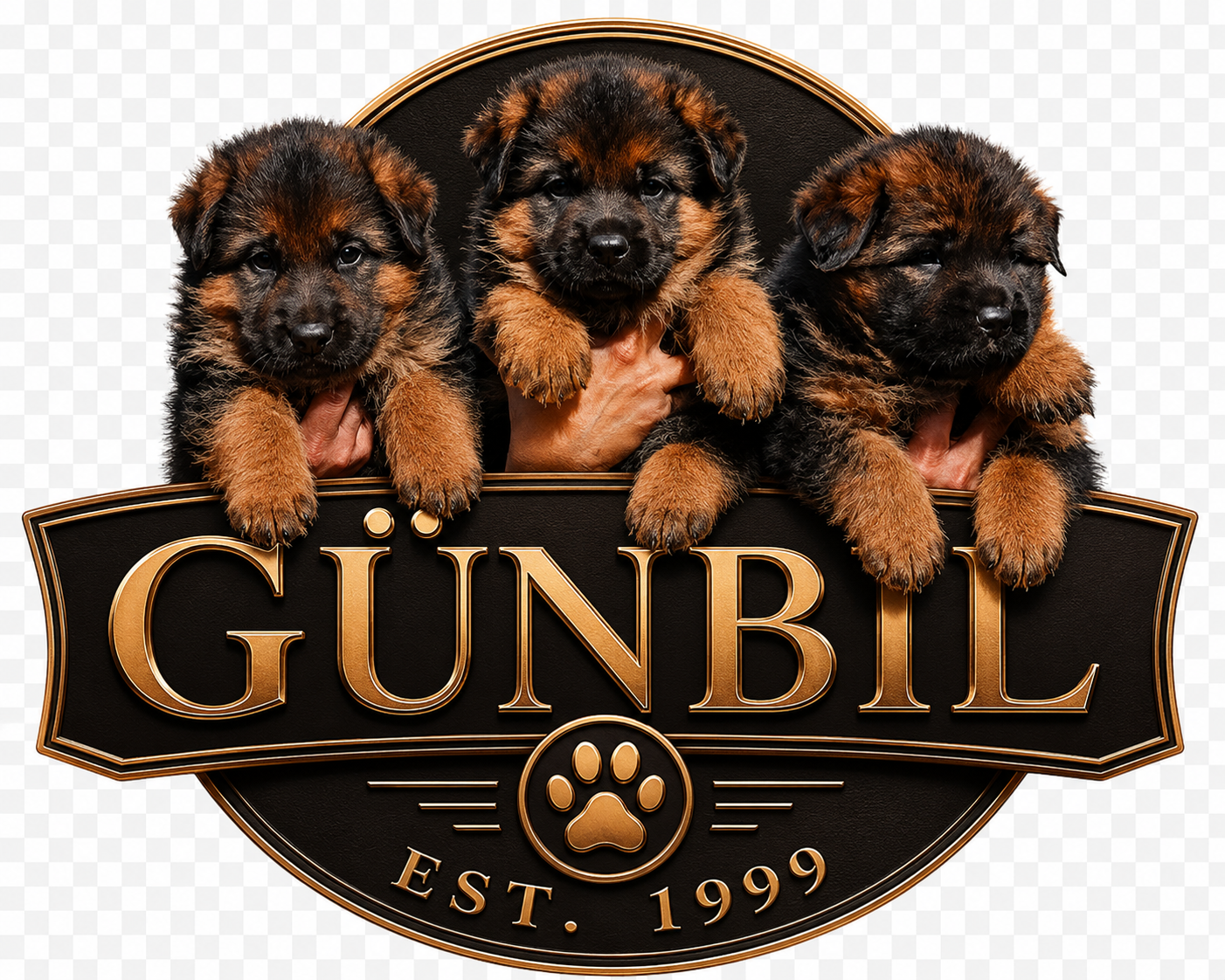 Gunbil German Shepherds — Established 1999