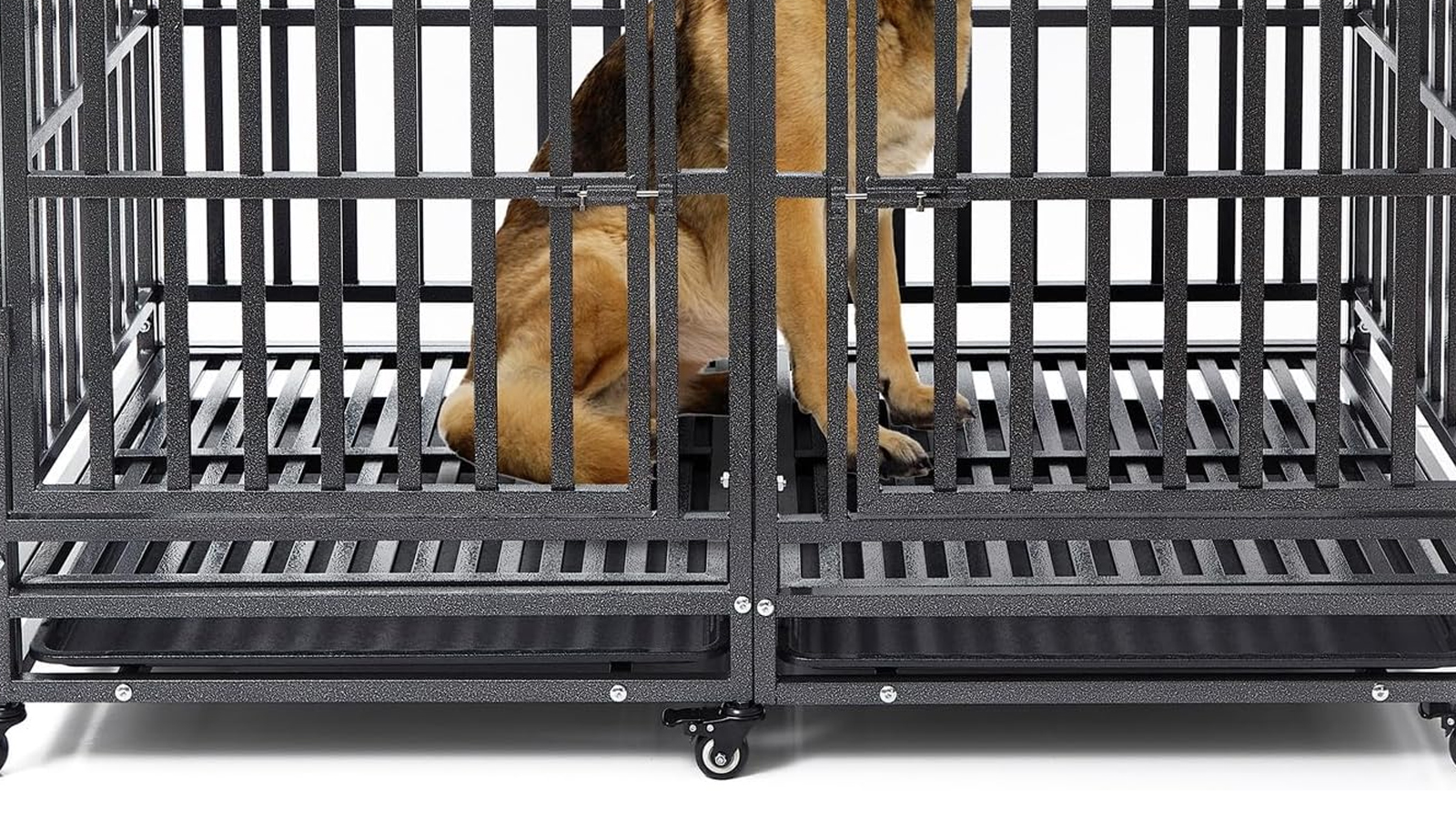 Diagram showing recommended crate length for German Shepherd puppies