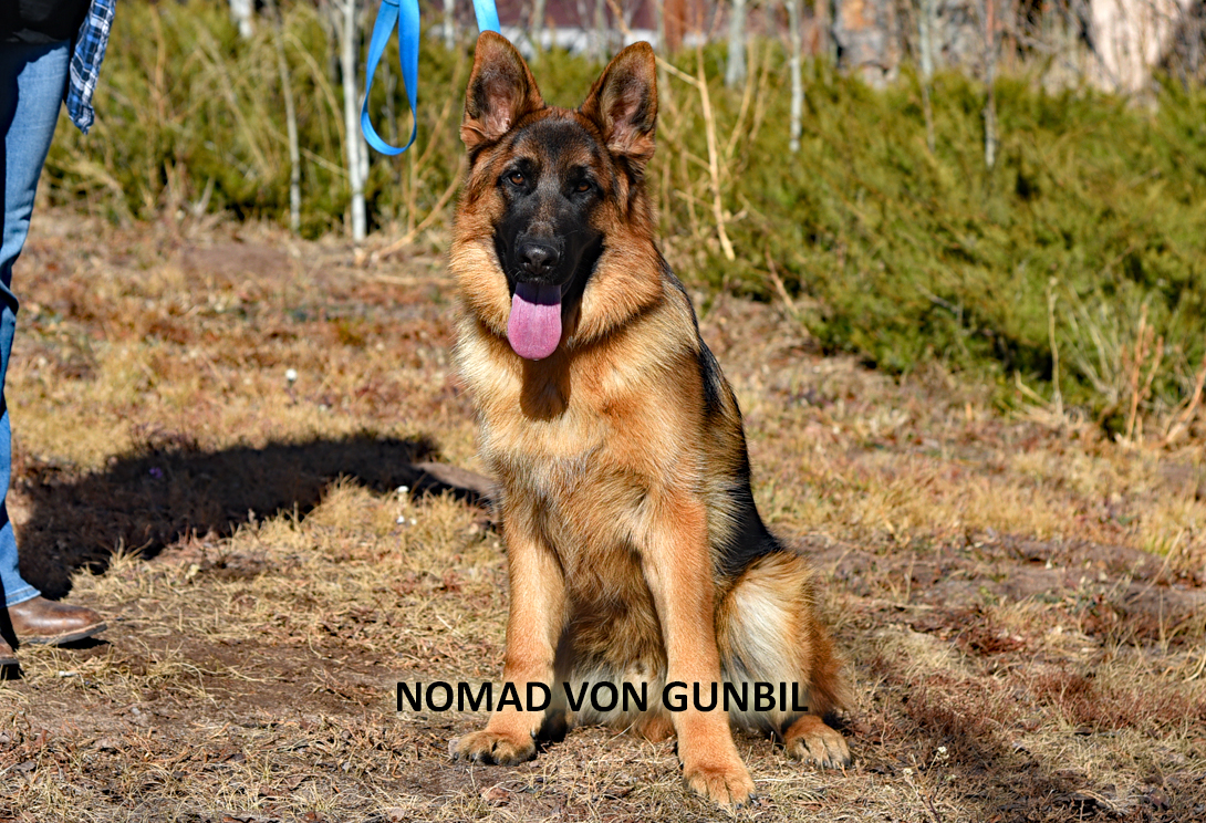 Nomad stacked side view