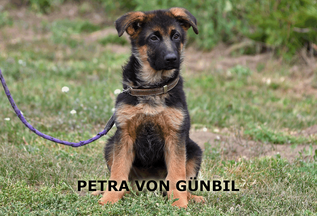 Petra training session