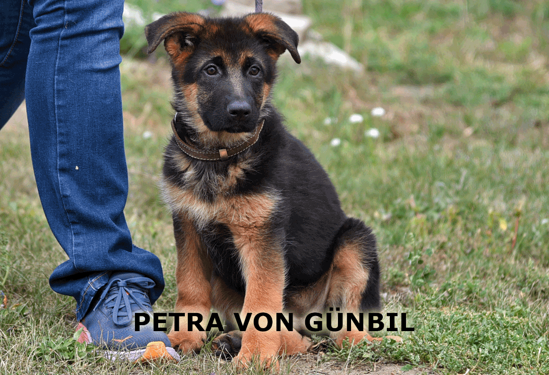 Petra in a down-stay