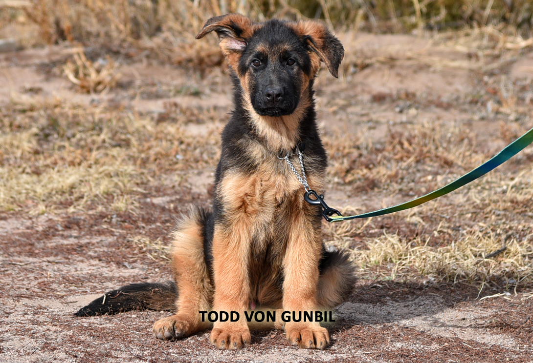 Todd training photo 2