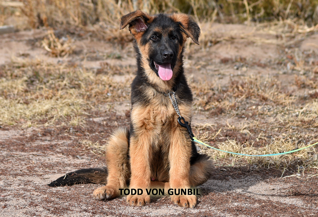 Todd training photo 3